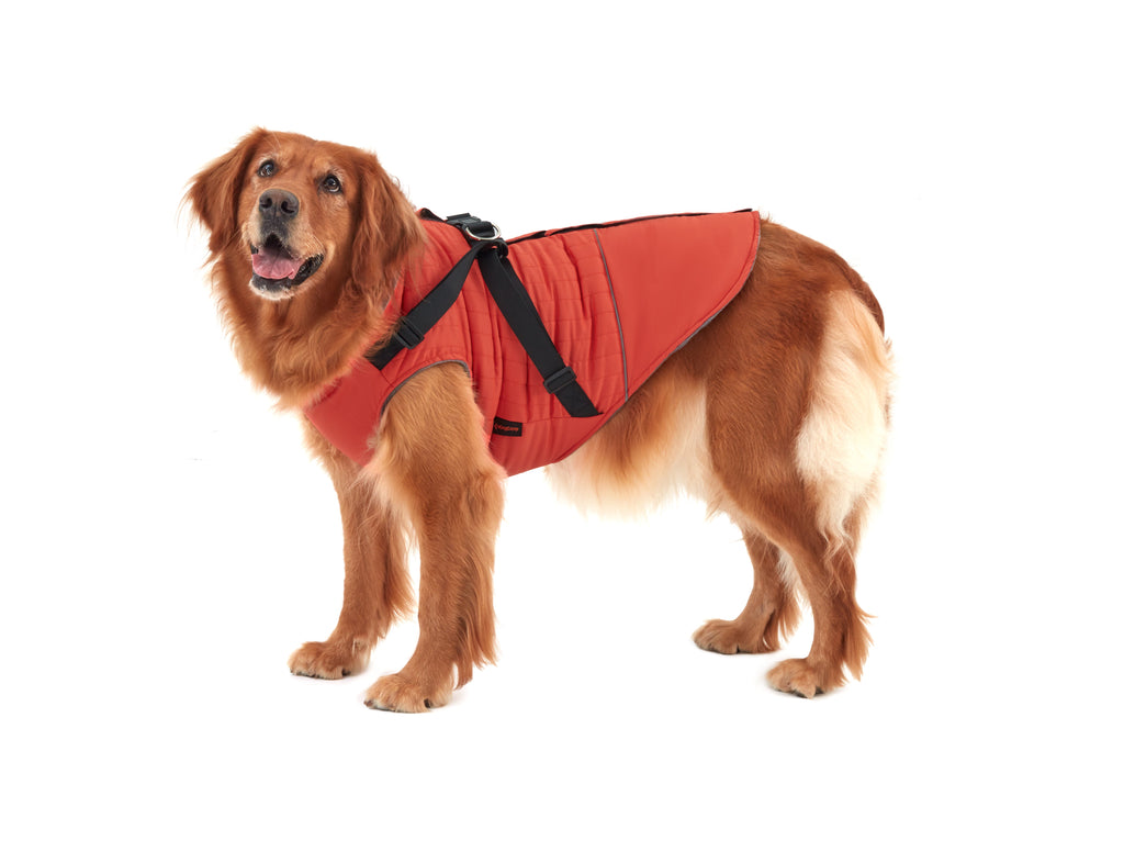 KingCamp PETS  Winter Dog Coat with Harness