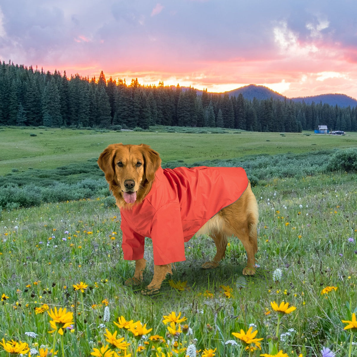 KingCamp PETS Dog Raincoat XXXL